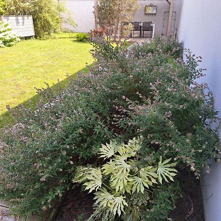 滨海圣佩Planchesdisa别墅 外观 照片